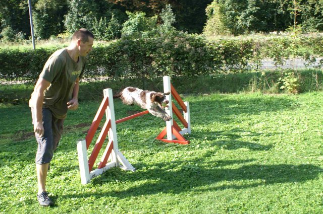 agility 2011-08